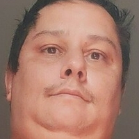 бигбеллибразил Голая